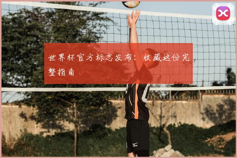 世界杯官方标志发布:收藏这份完整指南