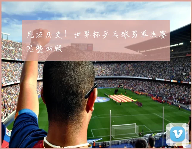 见证历史！世界杯乒乓球男单决赛完整回顾